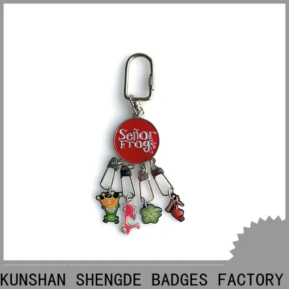Shengde Top metal keyrings factory for promotion 1