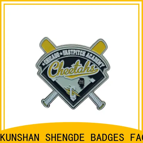 Shengde die struck pins factory for promotion 1