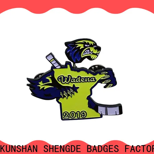 High-quality state lapel pins manufacturers for promotion 1