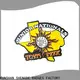 Custom soccer lapel pins Supply for promotion 1