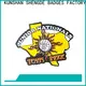 Shengde soccer team pins Supply for sale 1
