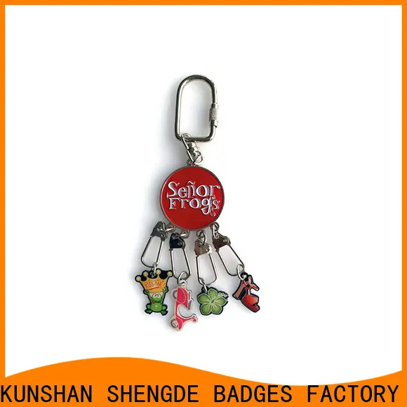 Shengde Latest promotional keyrings for business 1