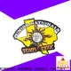 Shengde soccer lapel pins Supply for promotion 1