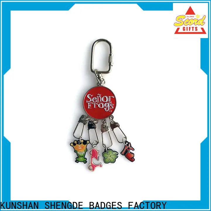 Shengde custom keyrings manufacturers for promotion 1