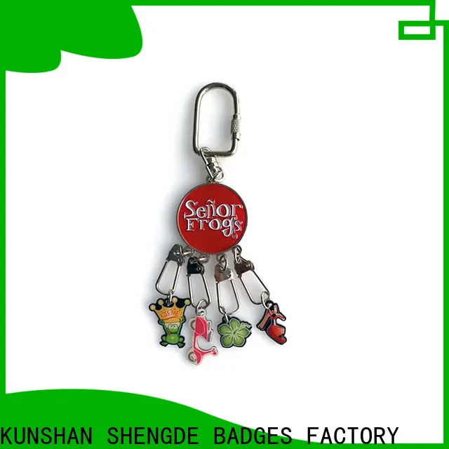 Shengde Wholesale custom metal keychains manufacturers for sale 1