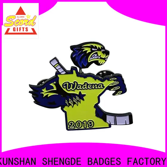 Wholesale academic pins manufacturers for promotion 1
