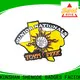 Shengde High-quality soccer tournament pins Suppliers on sale 1