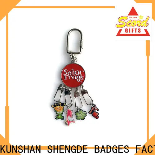 Shengde Latest promotional keychains for business for promotion 1