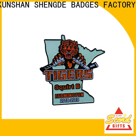 Shengde team pins manufacturers for promotion 1