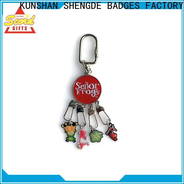 Shengde Latest promotional keychains Supply bulk production 1