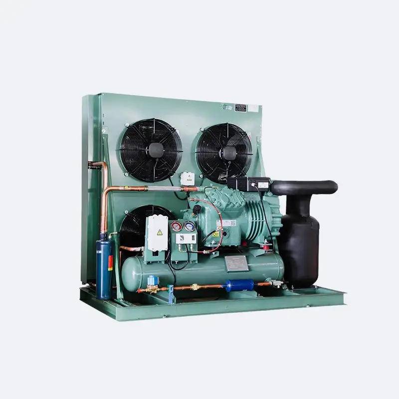 Cold Room Condensing Unit - Efficient & Eco-Friendly Cooling Solution 1