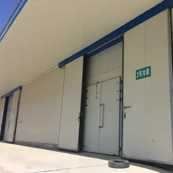 Cold Storage Doors Sliding Doors or Hinged Door Cold Room Door for Sale 1