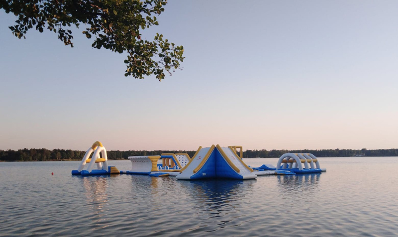 Bouncia  Array image455