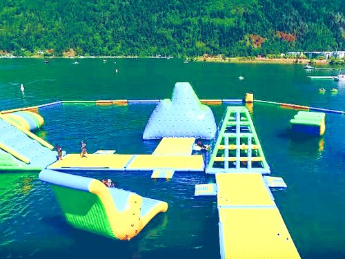 Bouncia  Array image88