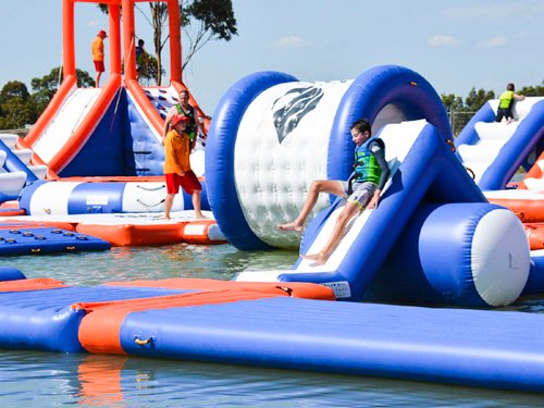 Bouncia  Array image507