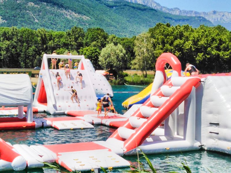 Bouncia  Array image256