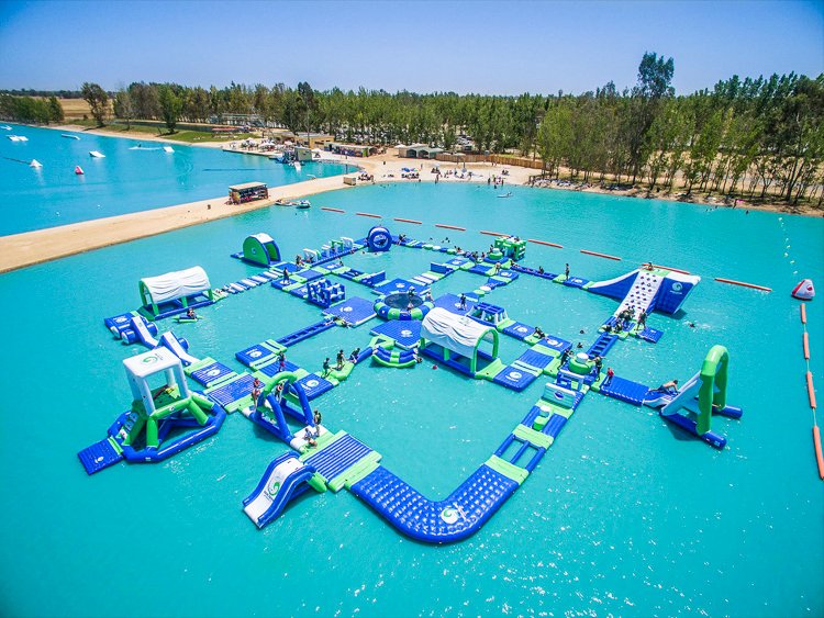 Bouncia  Array image27