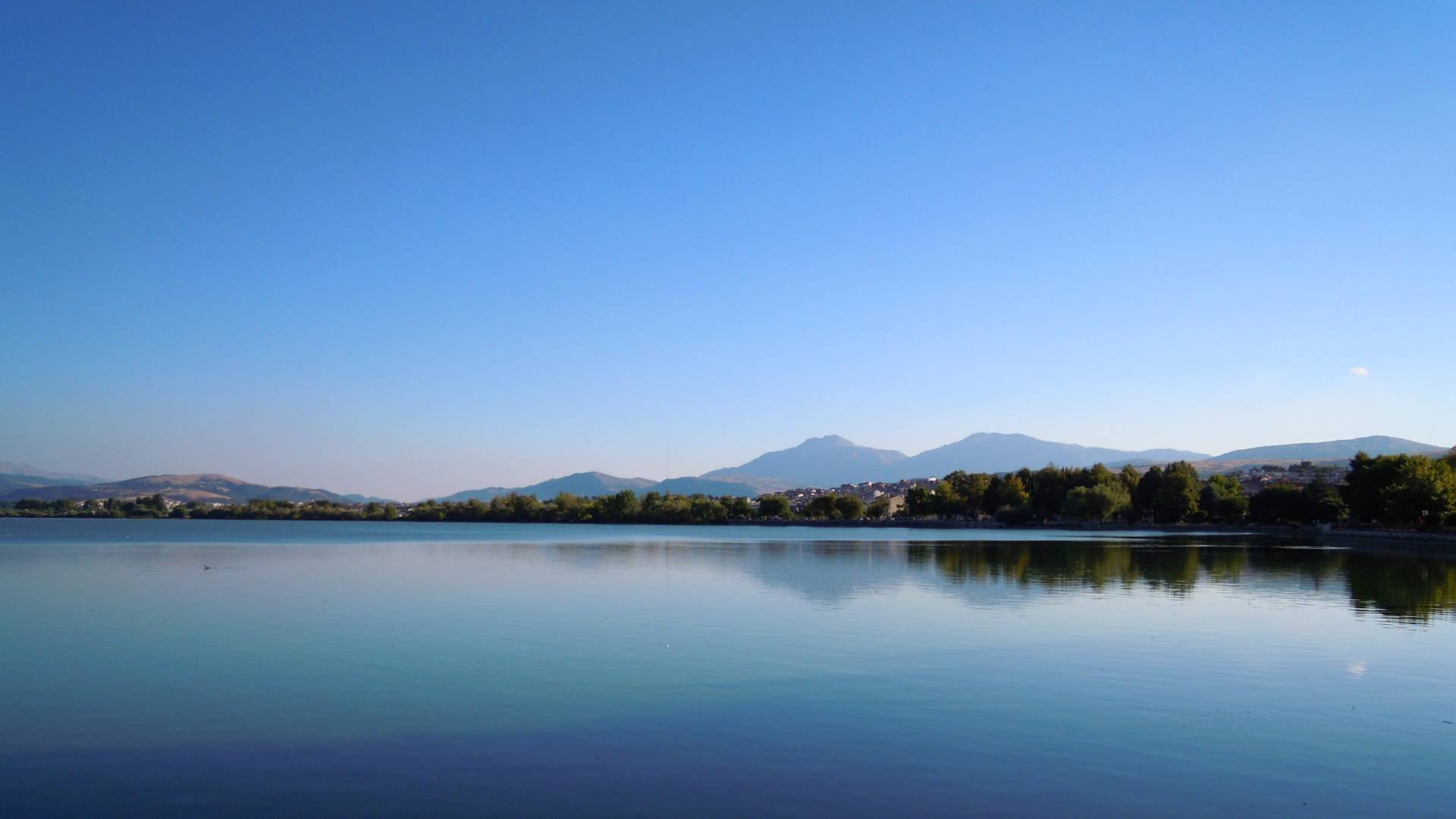 Bouncia  Array image168