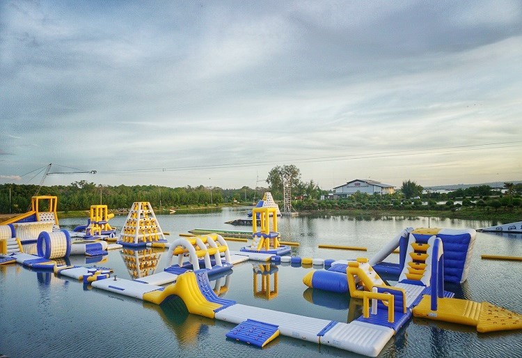 Bouncia  Array image437