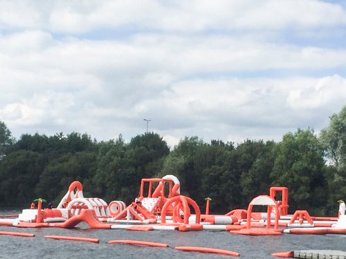 Bouncia  Array image10