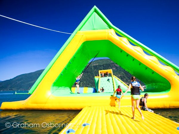 Bouncia  Array image87