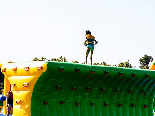 Bouncia  Array image214