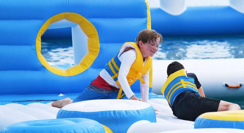 Bouncia  Array image252