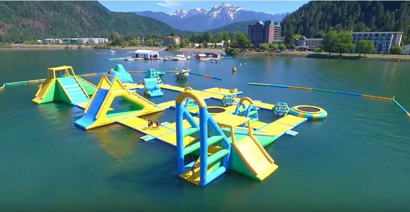 Bouncia  Array image81