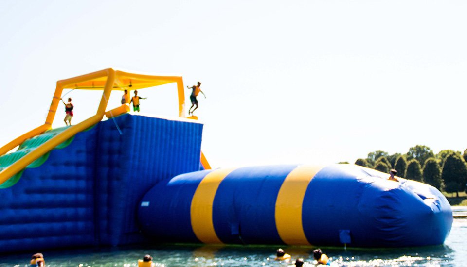 Bouncia  Array image684