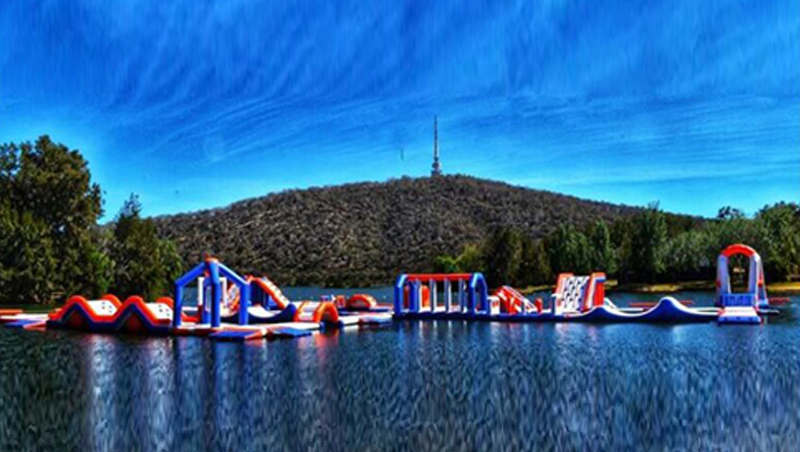 Bouncia  Array image431