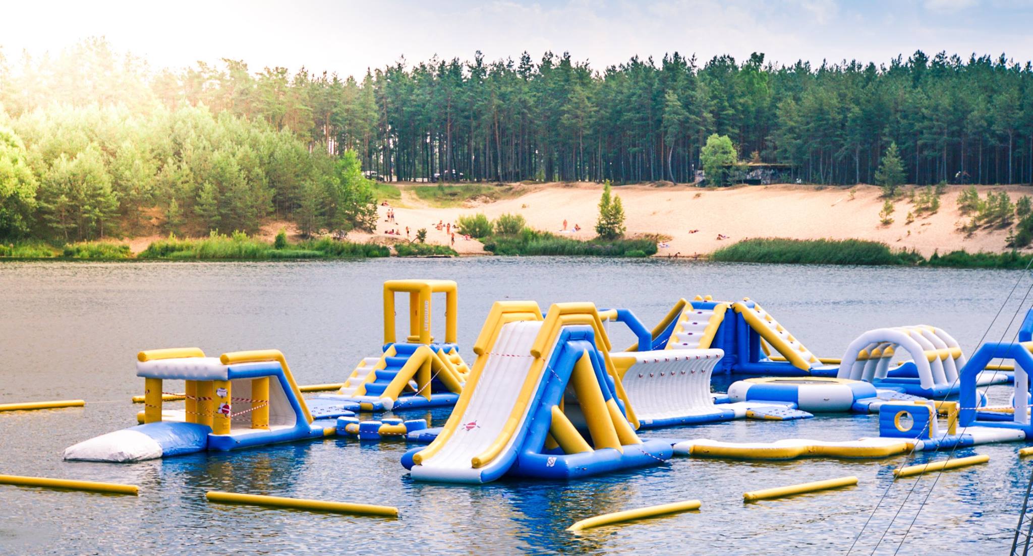 Bouncia  Array image568