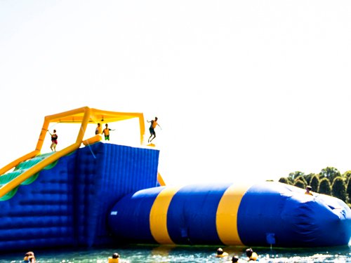 Bouncia  Array image175