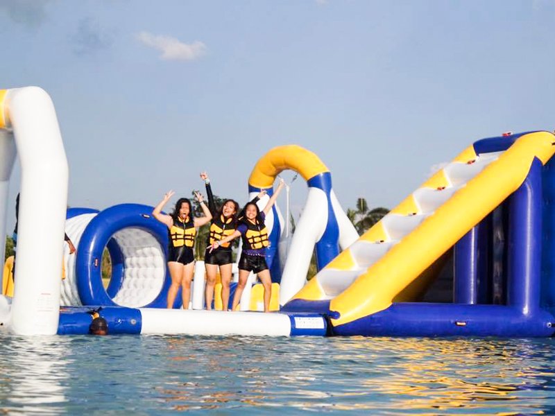 Bouncia  Array image50