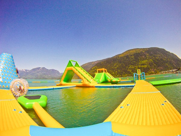 Bouncia  Array image691