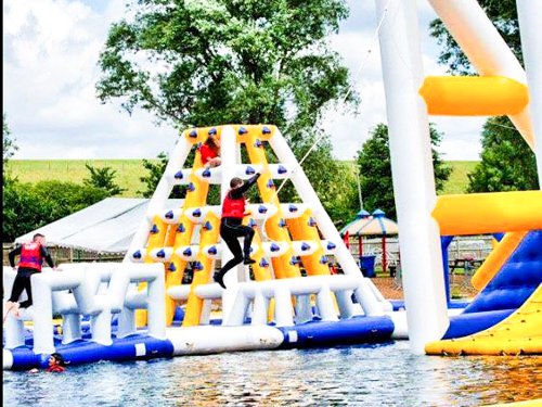 Bouncia  Array image27