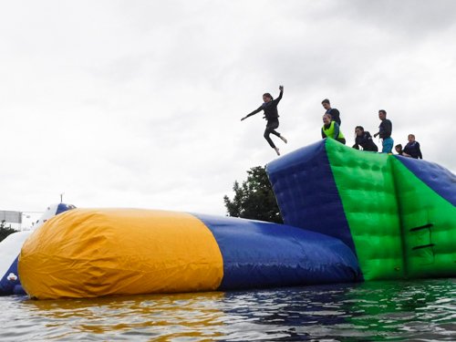 Bouncia  Array image750