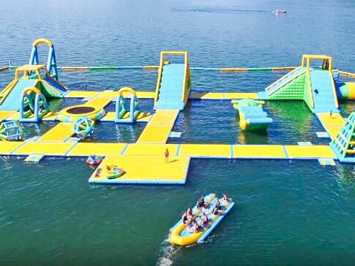 Bouncia  Array image499