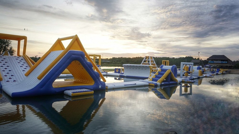 Bouncia  Array image66