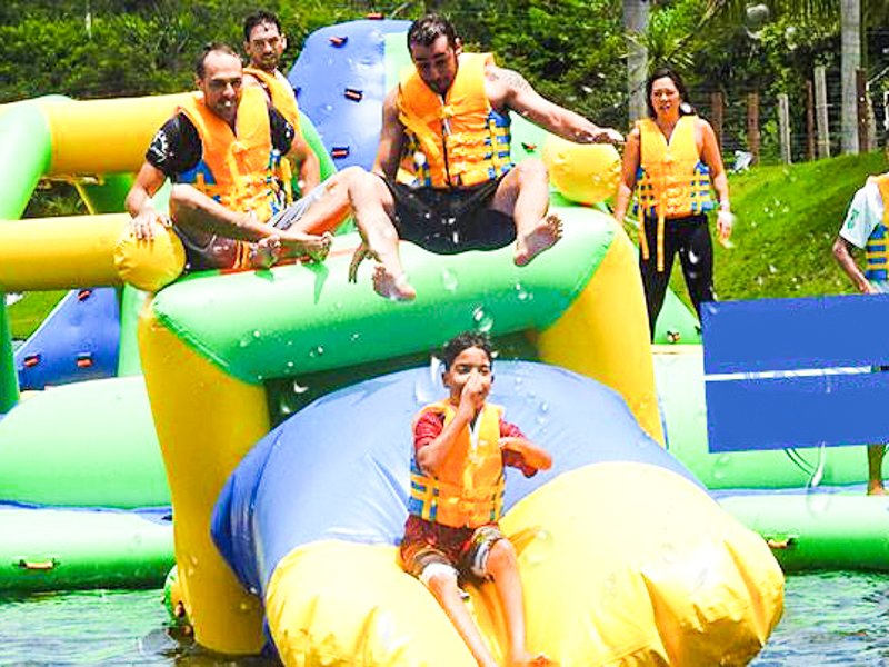 Bouncia  Array image186