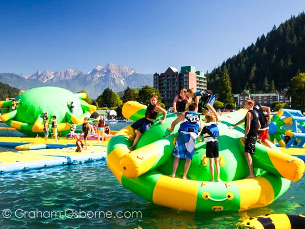 Bouncia  Array image535