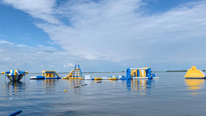 Bouncia  Array image476