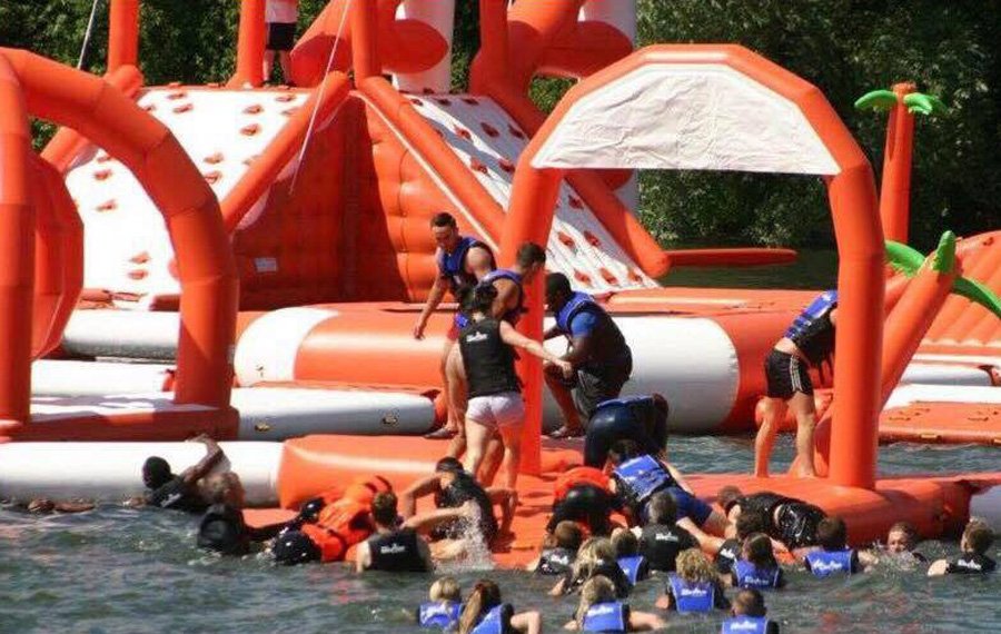 Bouncia  Array image596