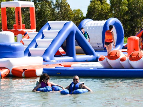 Bouncia  Array image264