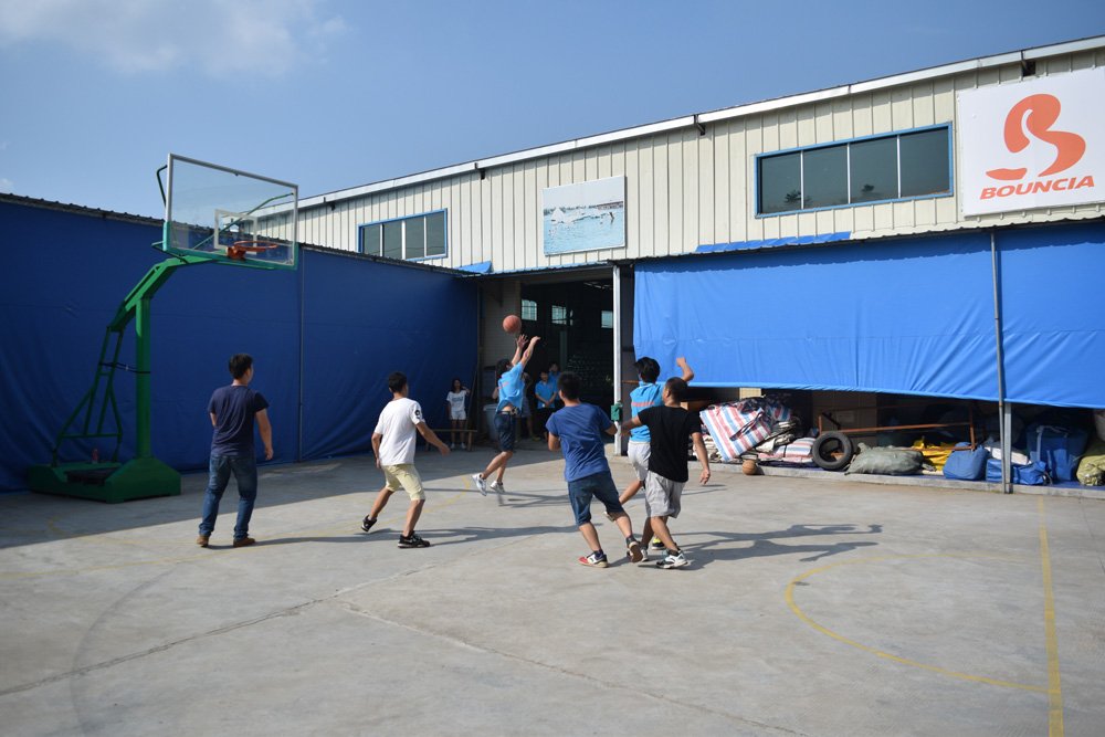 Bouncia  Array image647