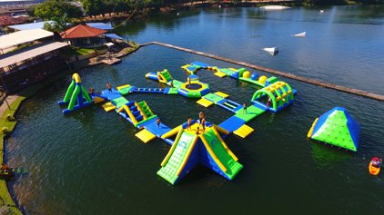 Bouncia  Array image205