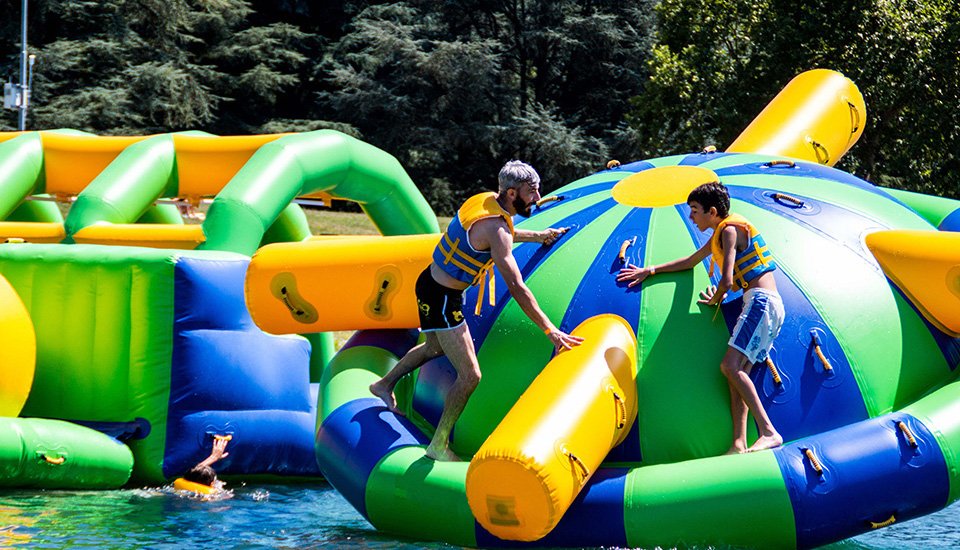 Bouncia  Array image736