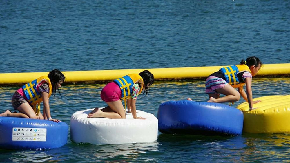 Bouncia  Array image31