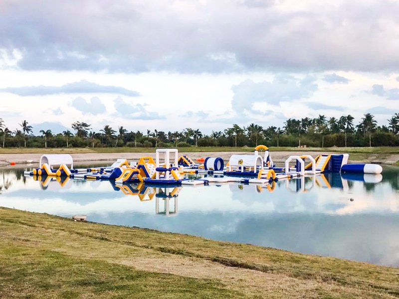 Bouncia  Array image269