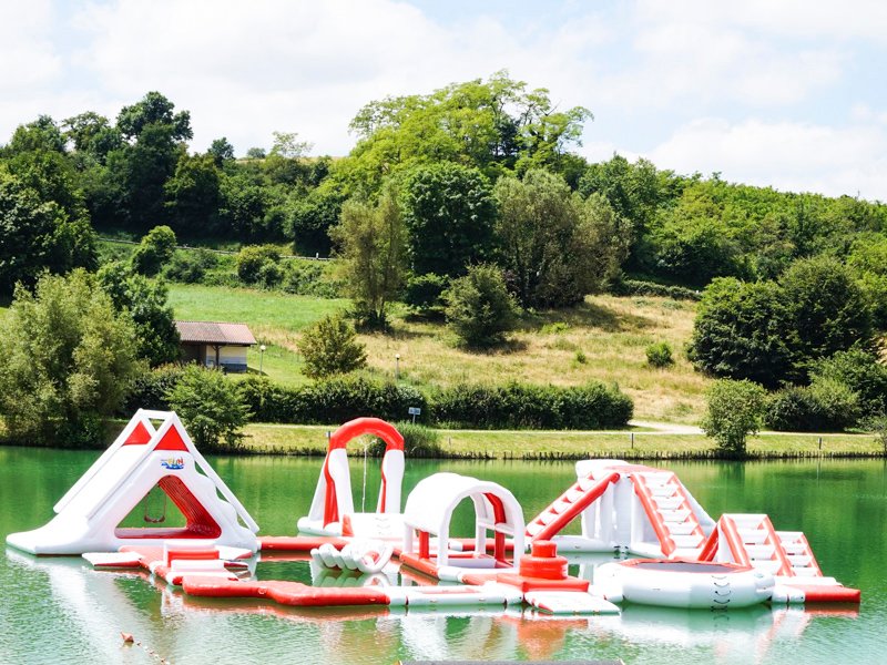 Bouncia  Array image467