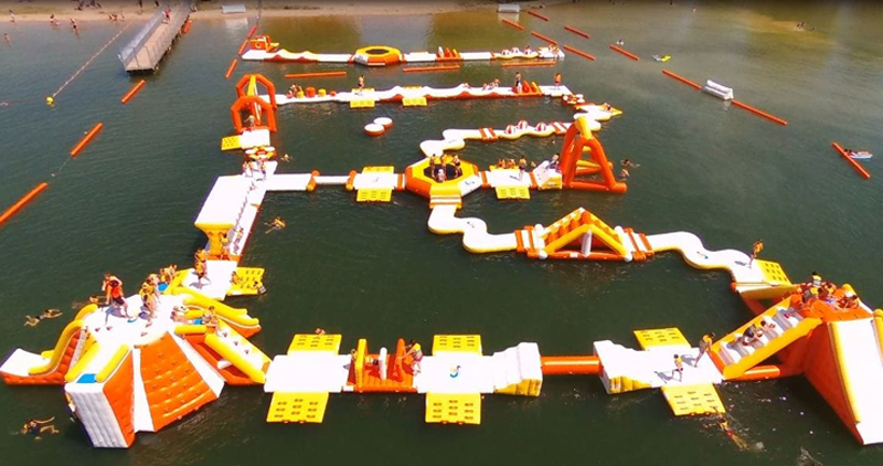 Bouncia  Array image761